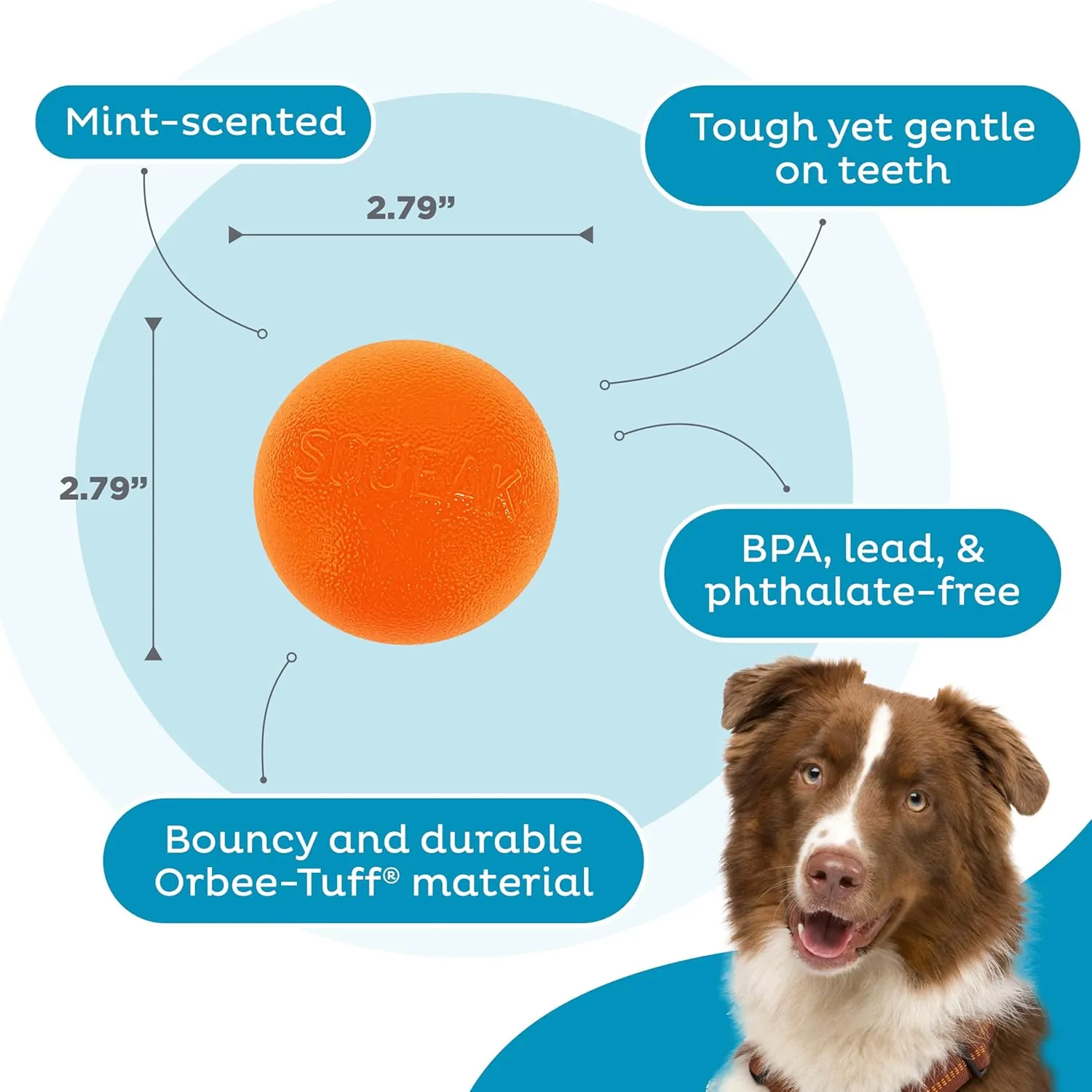 Outward Hound by Planet Dog Squeak Ball Bouncy Fetch Dog Toy, Orange
