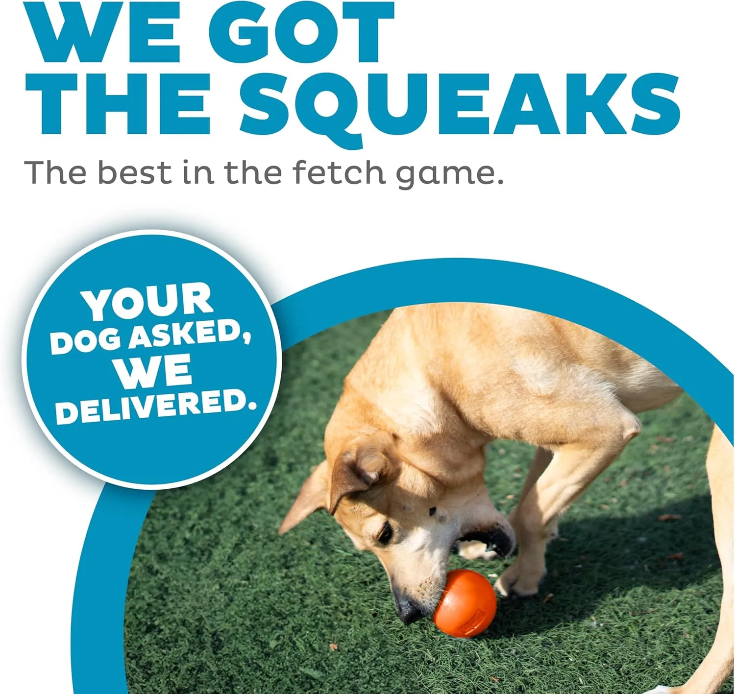 Outward Hound by Planet Dog Squeak Ball Bouncy Fetch Dog Toy, Orange