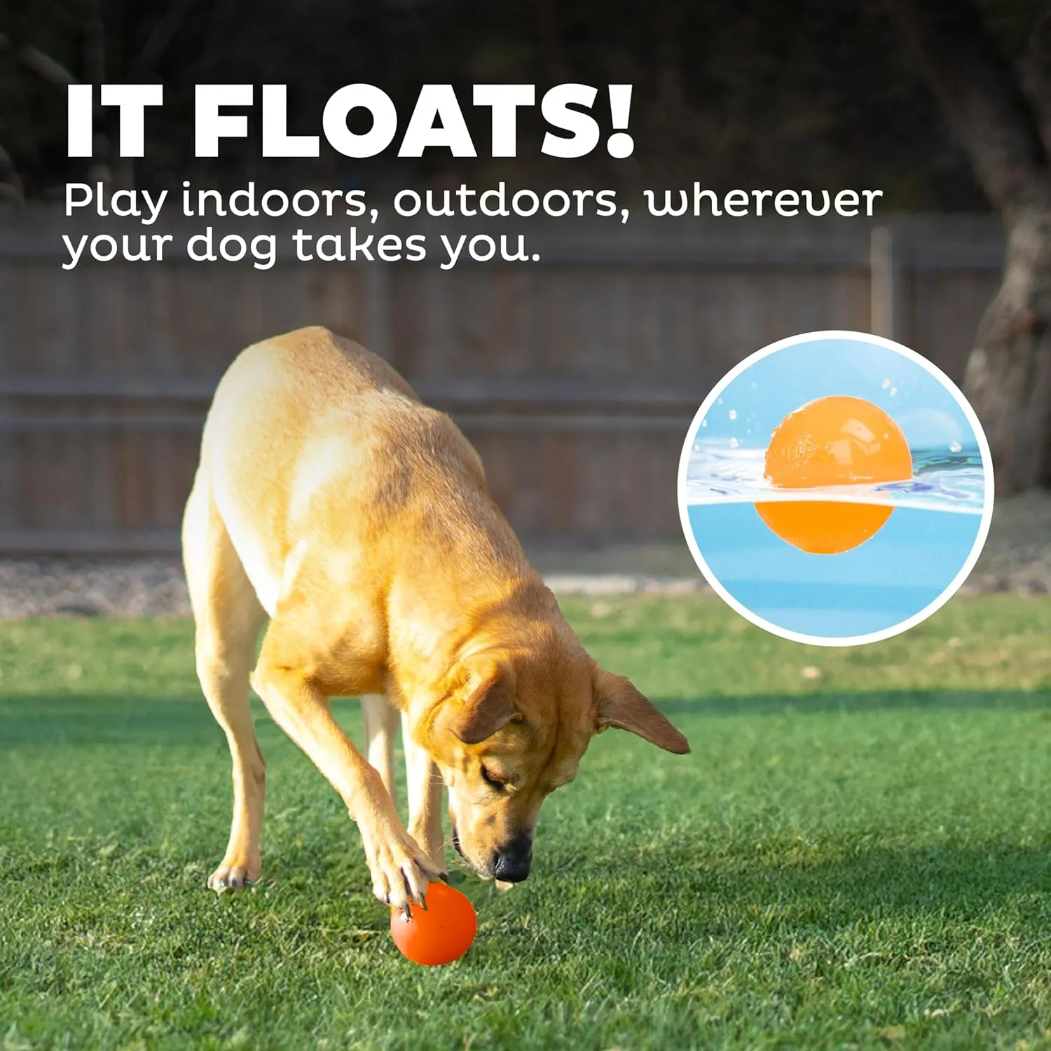 Outward Hound by Planet Dog Squeak Ball Bouncy Fetch Dog Toy, Orange