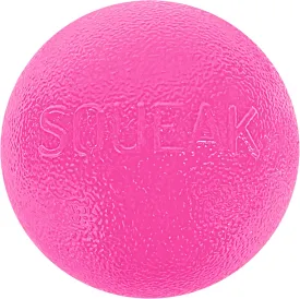 Outward Hound by Planet Dog Squeak Ball Bouncy Fetch Dog Toy, Pink