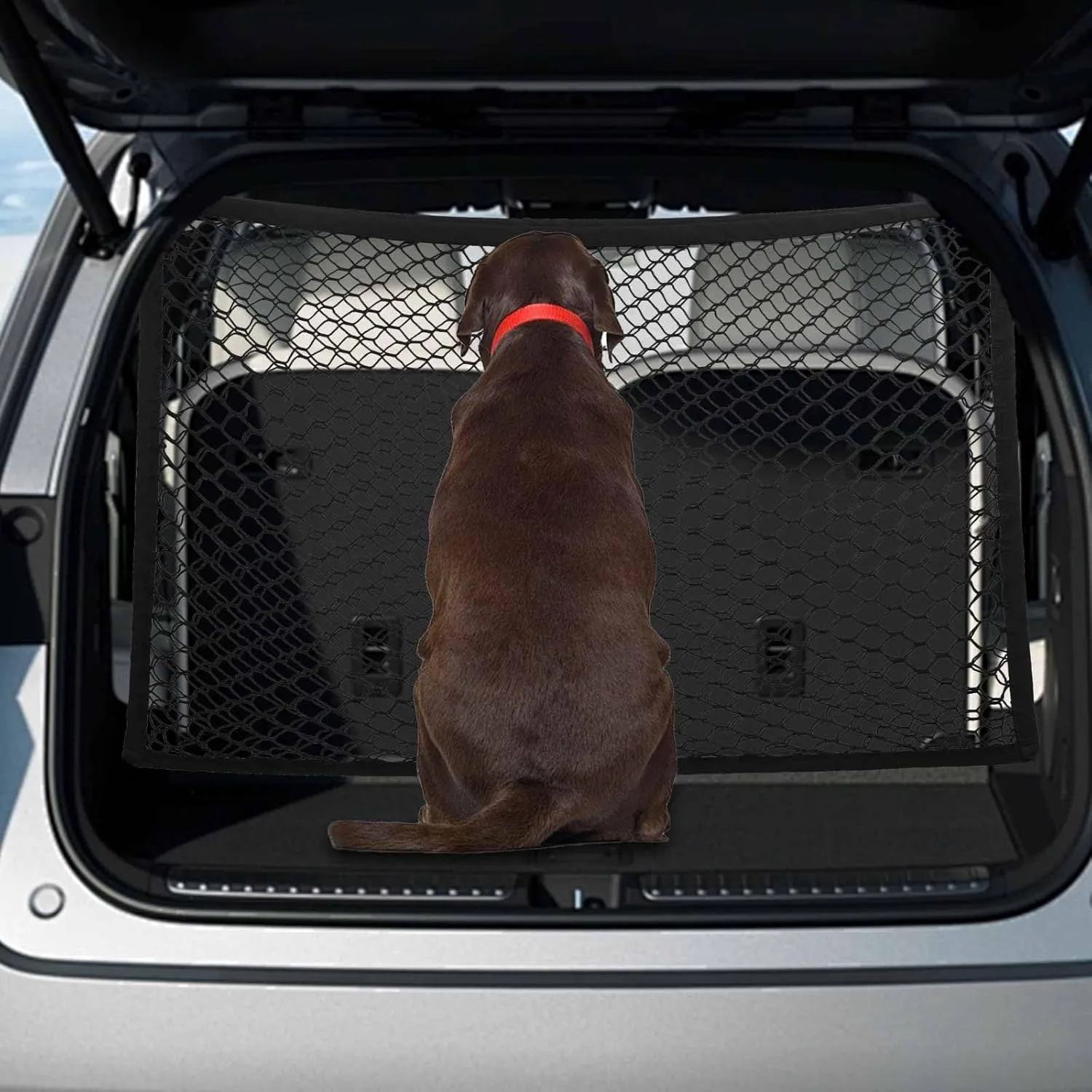 Pet Barrier SUV, Dog Car Net Barrier, Dual Layer Car Net for Dogs with Bungee Cords, Easy to Install, Adjustable Dog Net for Car 47.33" x 33.9"