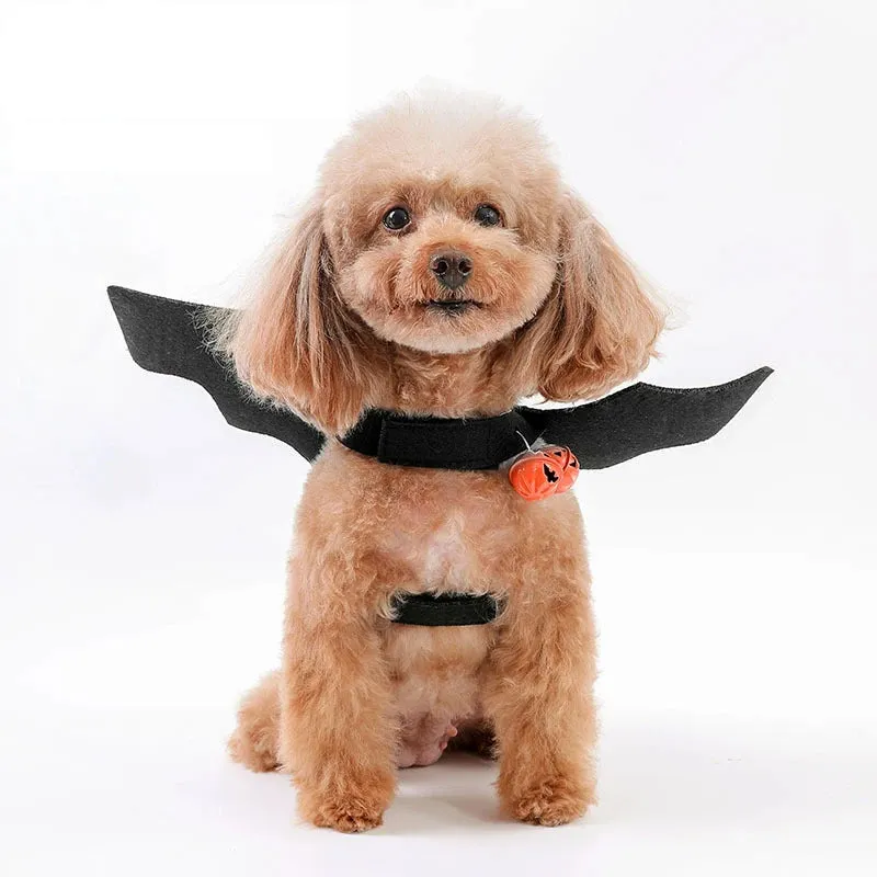 Pet Halloween Costumes