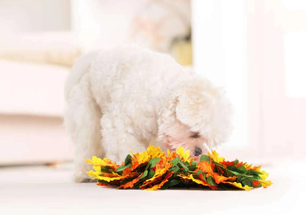 Pet Jungle Feeding Mat