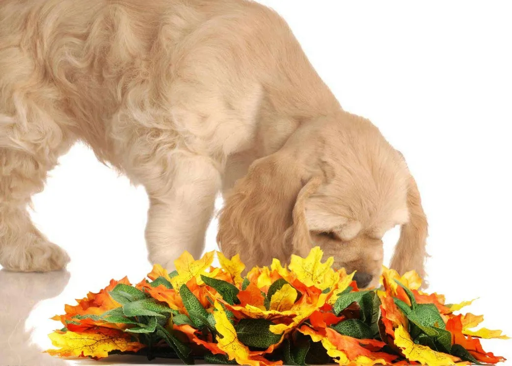 Pet Jungle Feeding Mat