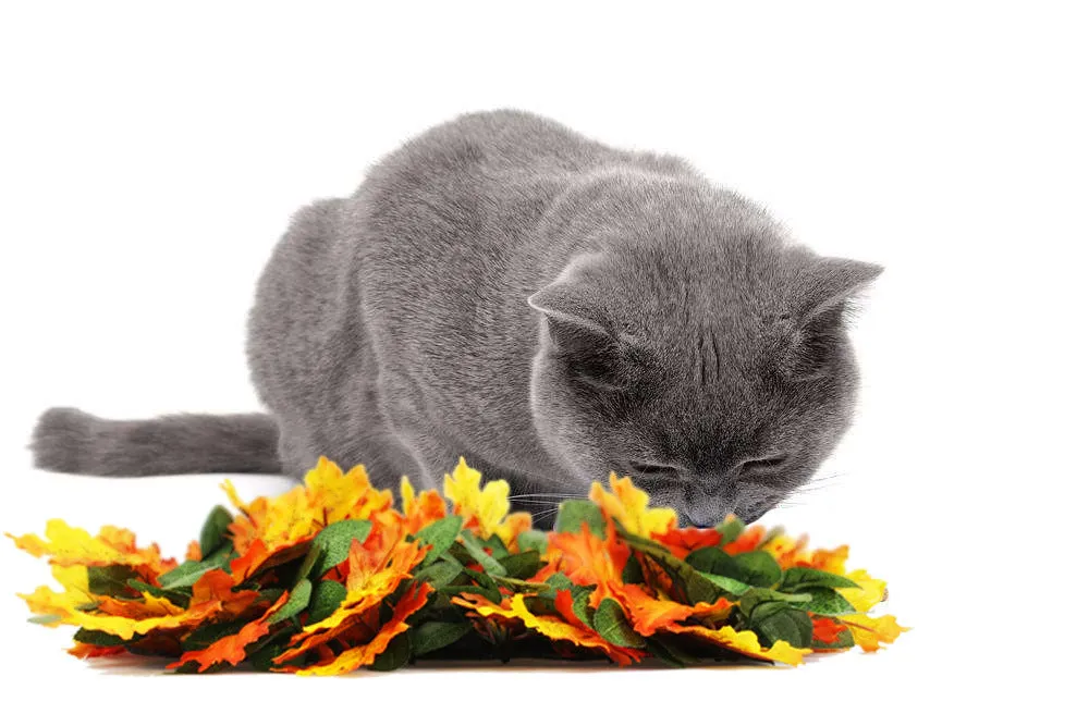 Pet Jungle Feeding Mat