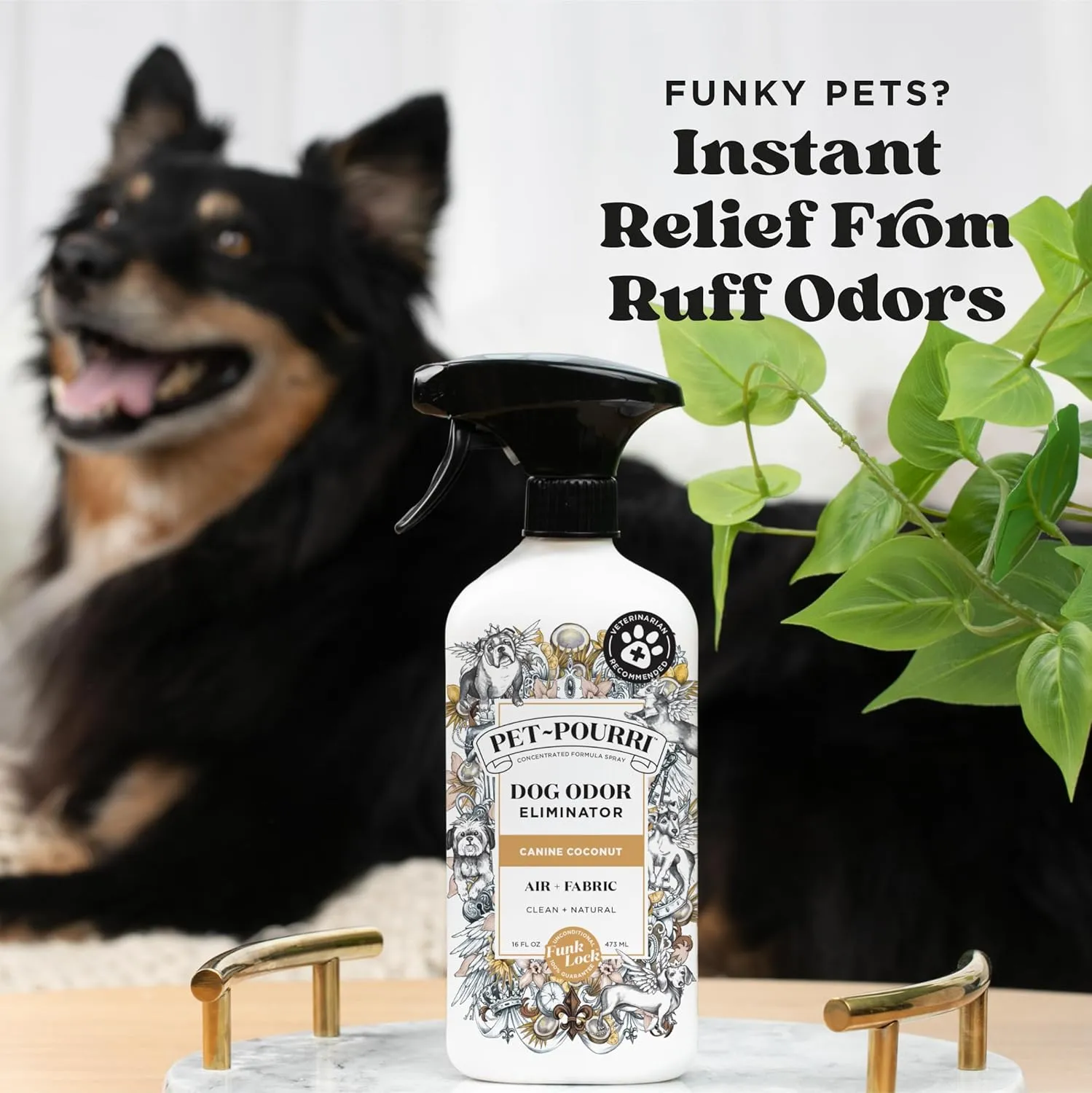 Pet-Pourri Pet Odor Air   Fabric Odor Eliminator Spray, Canine Coconut, 16 Fl Oz