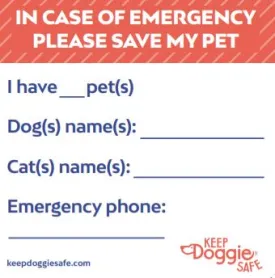 Pet Rescue Emergency Window Cling Note
