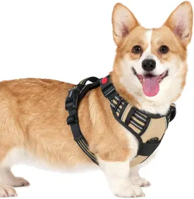 rabbitgoo Dog Harness Small Sized, No Pull Pet Harness with 3 Buckles, Adjustable Soft Padded Pooch Vest with Instant Control Handle, Easy Walking Reflective Pet Vest for Small Dogs, Beige, S