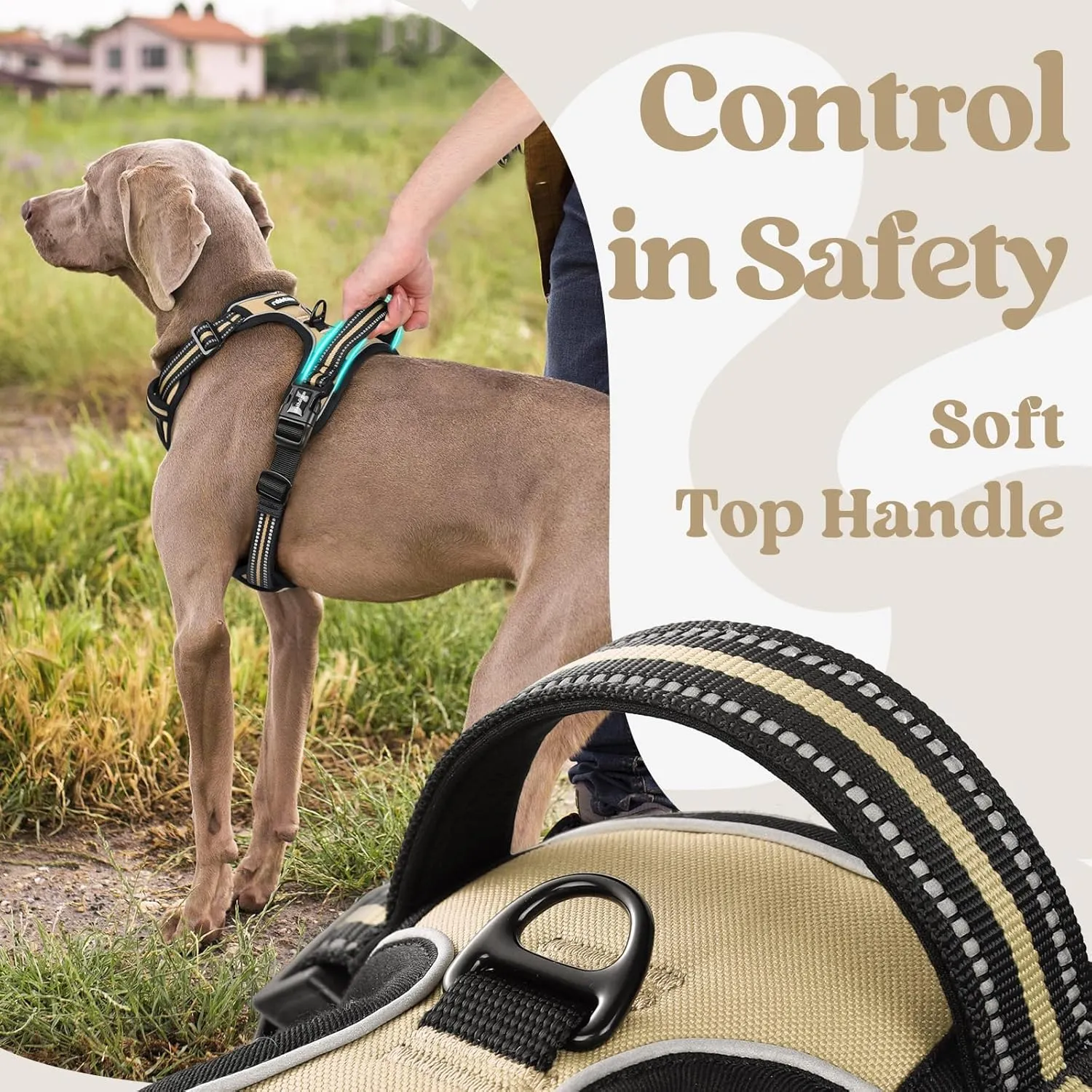 rabbitgoo Dog Harness Small Sized, No Pull Pet Harness with 3 Buckles, Adjustable Soft Padded Pooch Vest with Instant Control Handle, Easy Walking Reflective Pet Vest for Small Dogs, Beige, S