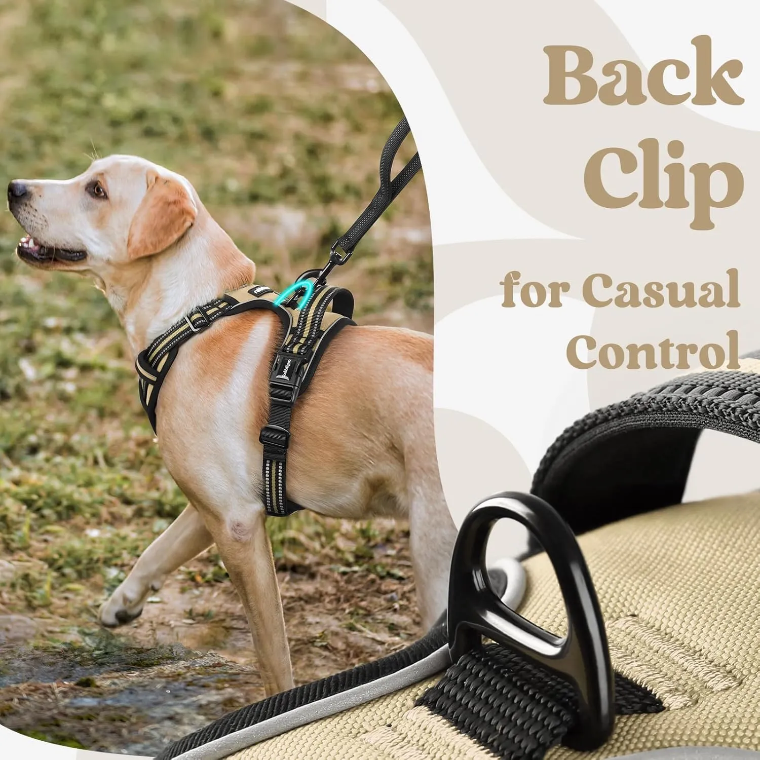 rabbitgoo Dog Harness Small Sized, No Pull Pet Harness with 3 Buckles, Adjustable Soft Padded Pooch Vest with Instant Control Handle, Easy Walking Reflective Pet Vest for Small Dogs, Beige, S