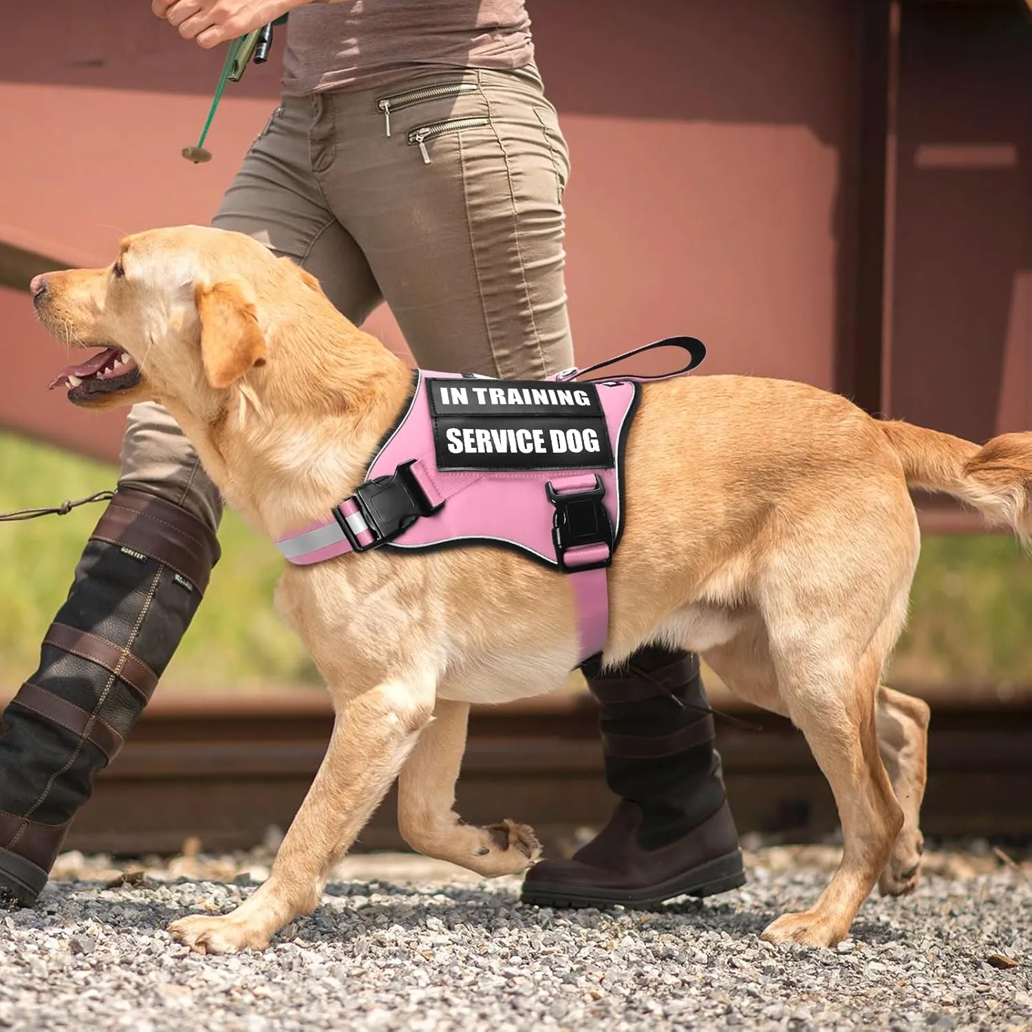 Service Dog Vest Harness and Leash Set 10 Patches,No Pull&Easy Walk Reflective Dog Harness with Soft Padded Handle for Training/Everyday,Fit Small/Medium/Large/Extra-Large Dogs(Pink S)