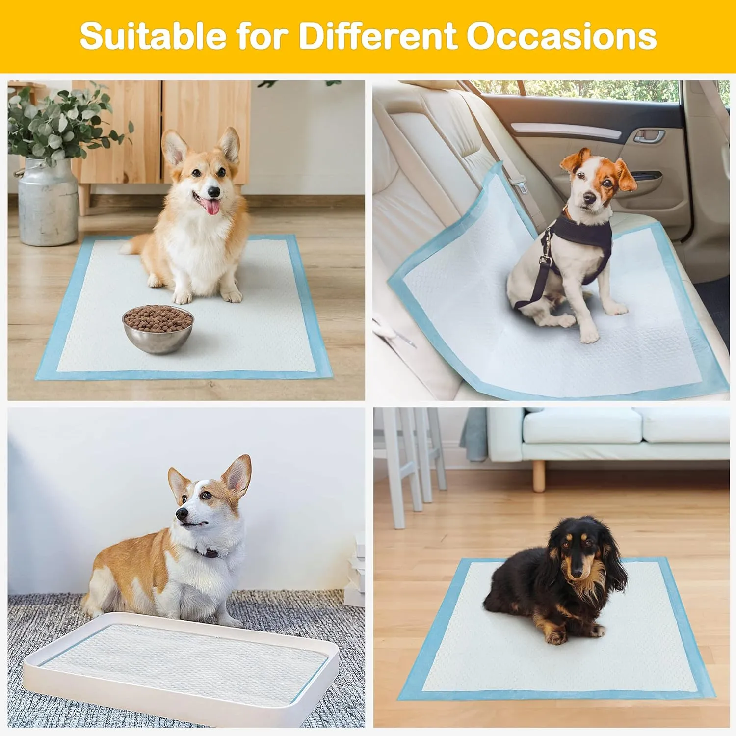 Sted Puppy Pads Dog Pee Pads 23"x23", Puppy Pee Pads for Dogs, 6 Layers Thicker Dog Pee Pads, Quickly Absorbs & Leak-Proof Dog Pads, Disposable Potty Pads for Dogs Cats, Doggie Pee Pads, 60Ct