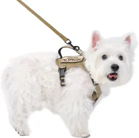 Tactical Dog Harness for Small Dog - Reflective Puppy Pet Vest No Pull Military Service Dog Vest with Vertical Handle XS Dog Harness for Outdoor Training