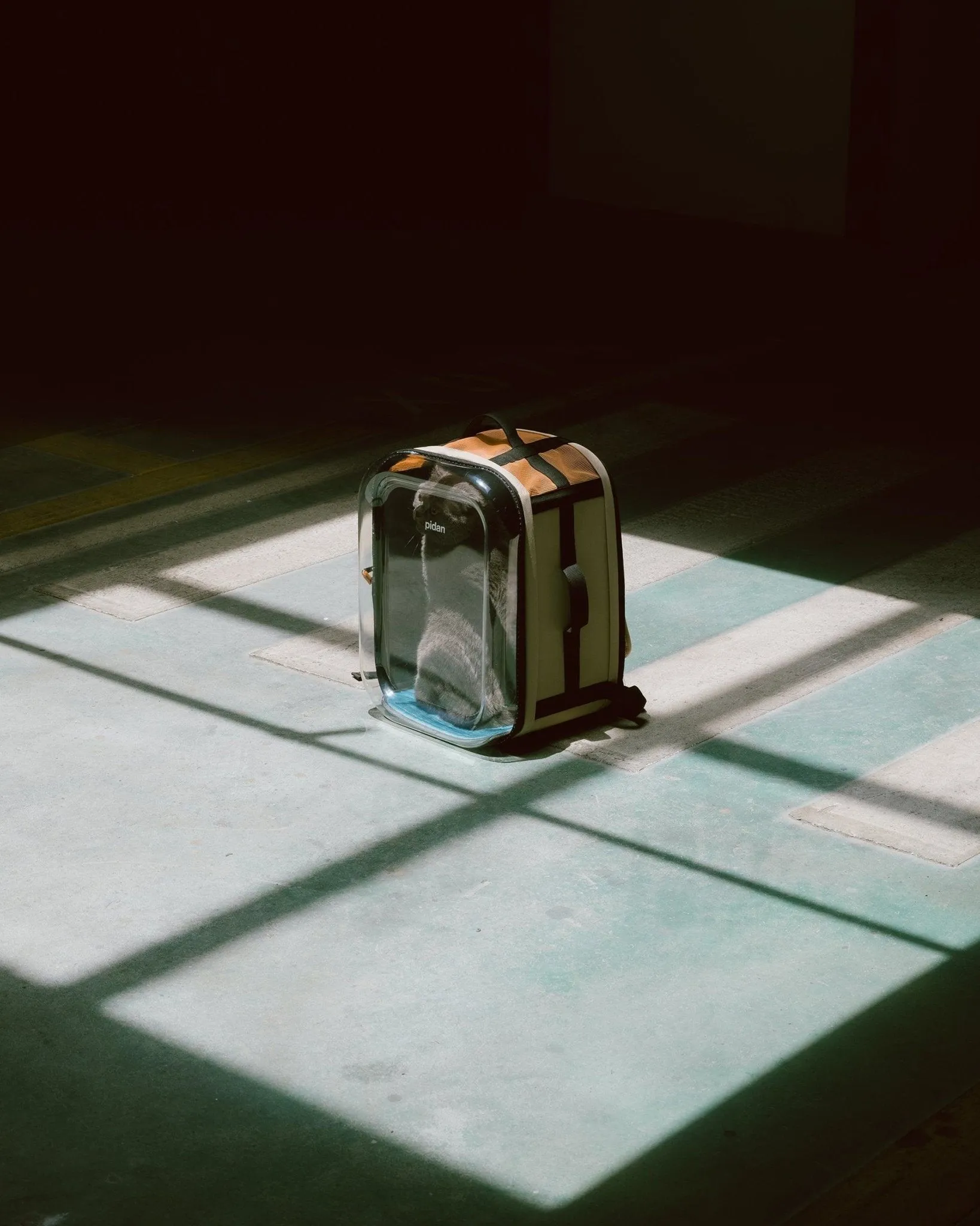 Travel Window Pet Carrier Backpack