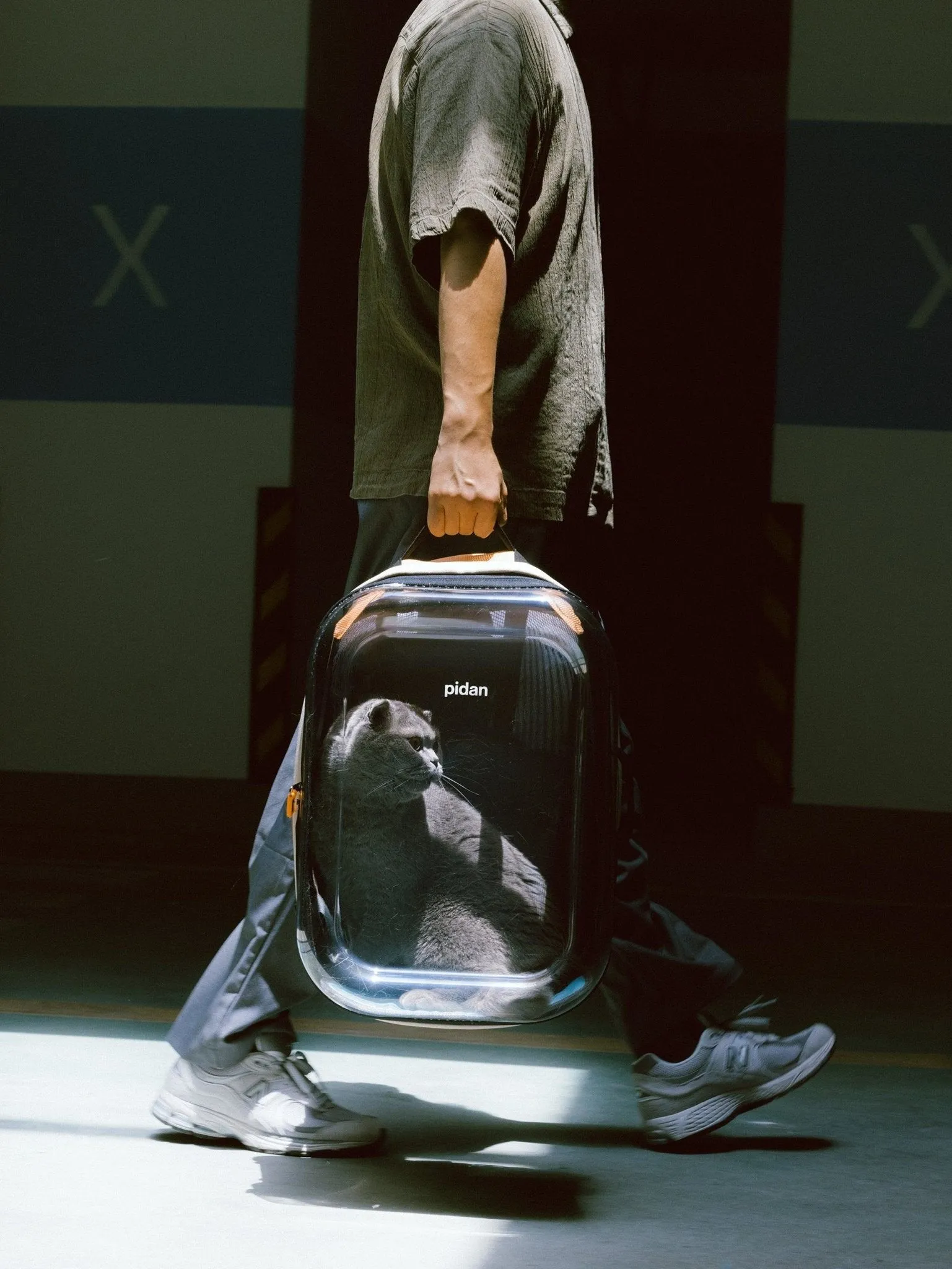 Travel Window Pet Carrier Backpack