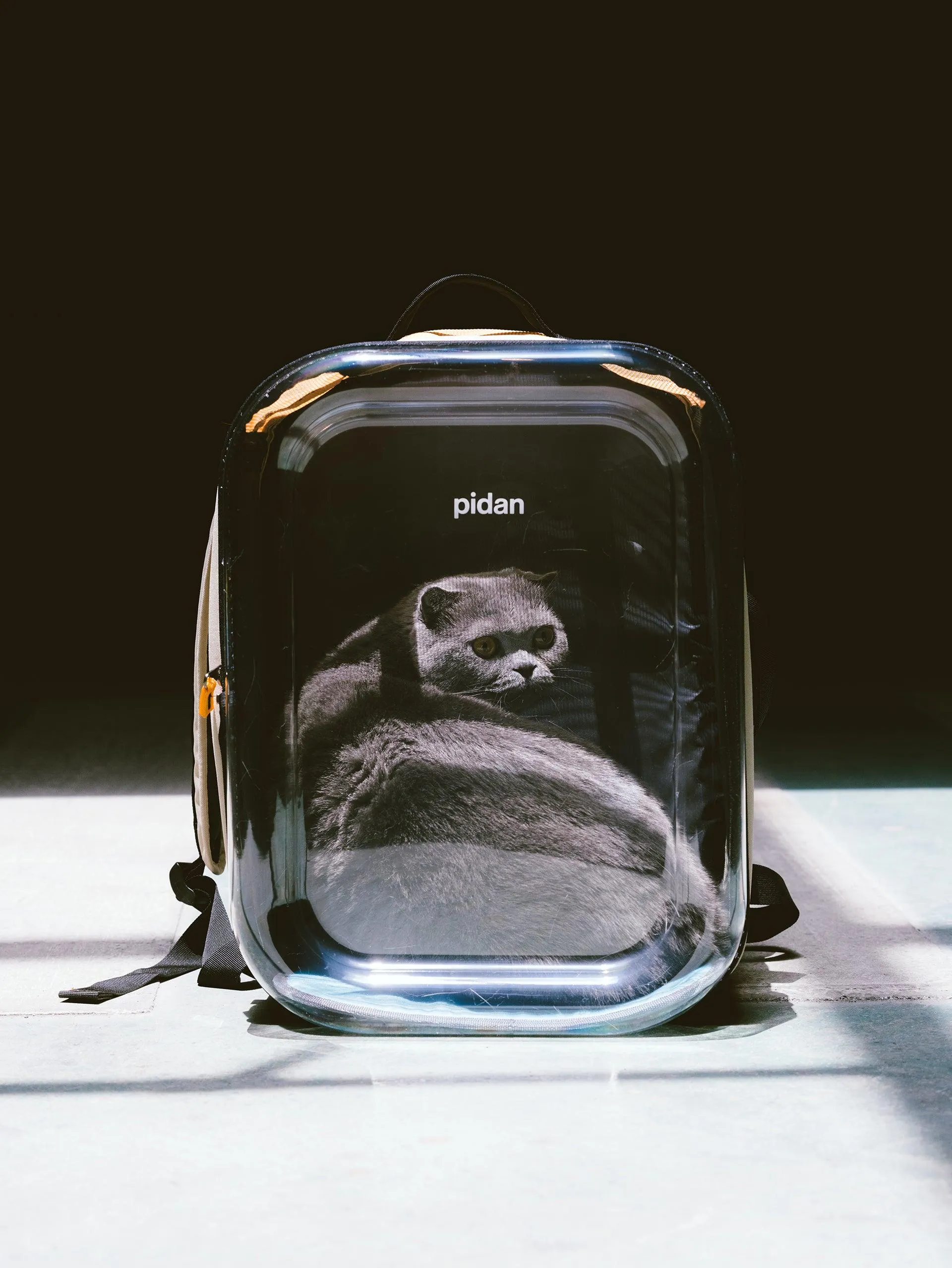 Travel Window Pet Carrier Backpack