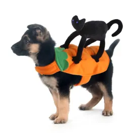 Vetopia Costume- Cat Rider
