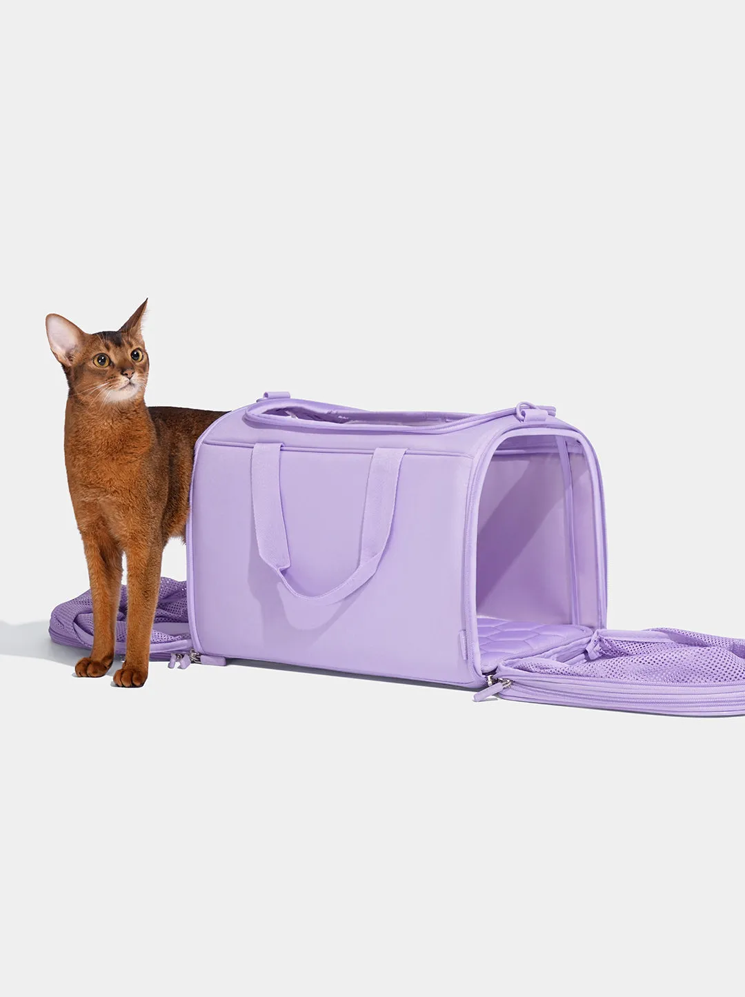 Violet Pet Carrier