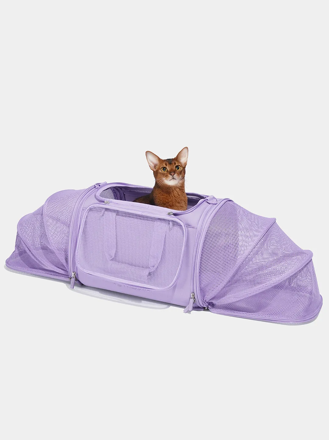 Violet Pet Carrier
