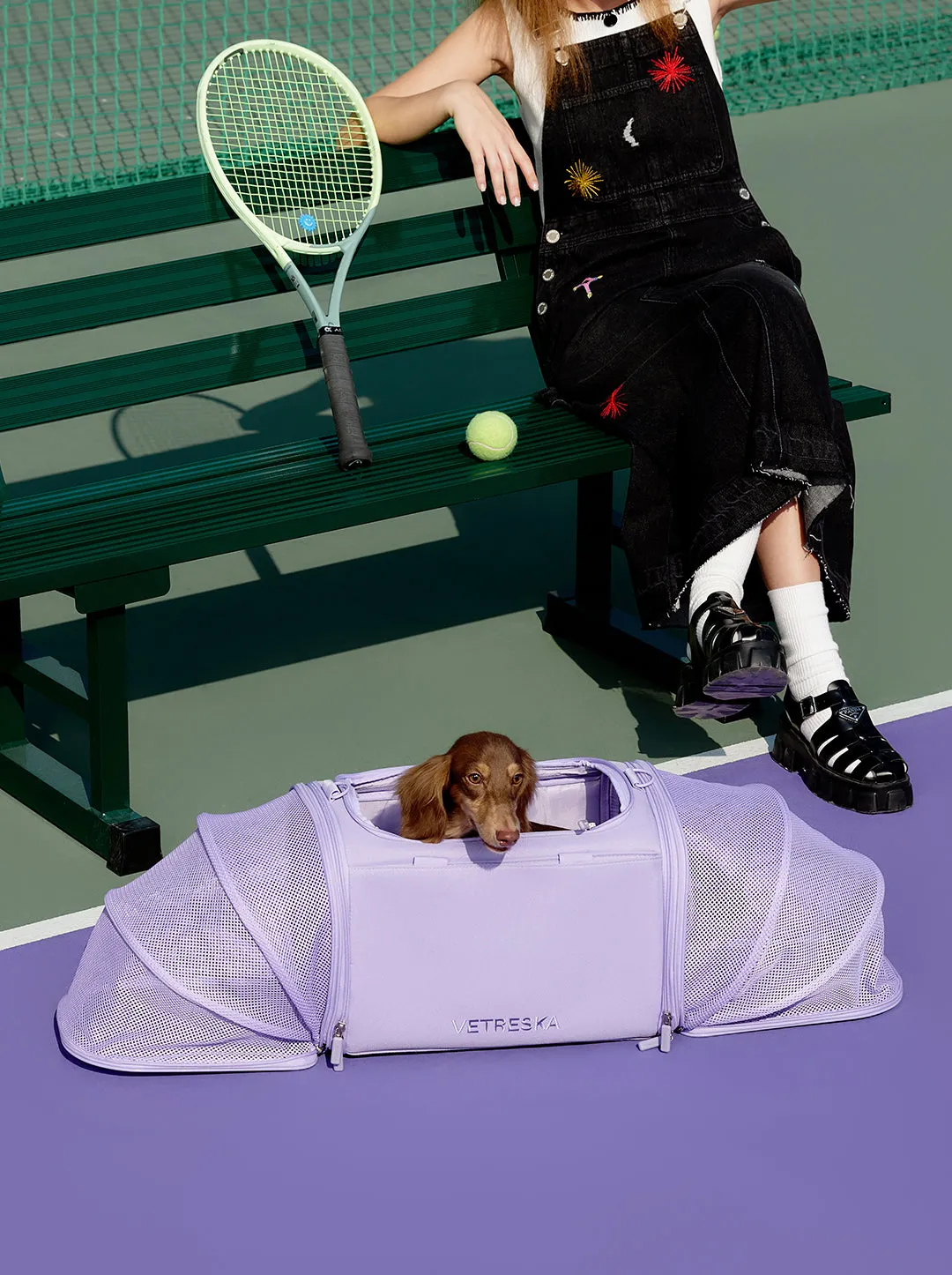 Violet Pet Carrier