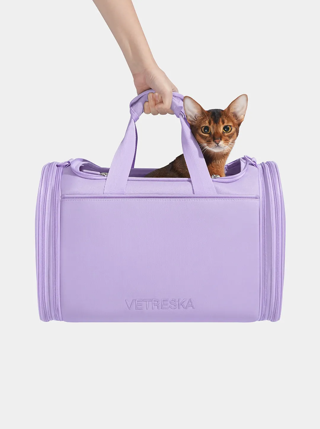 Violet Pet Carrier