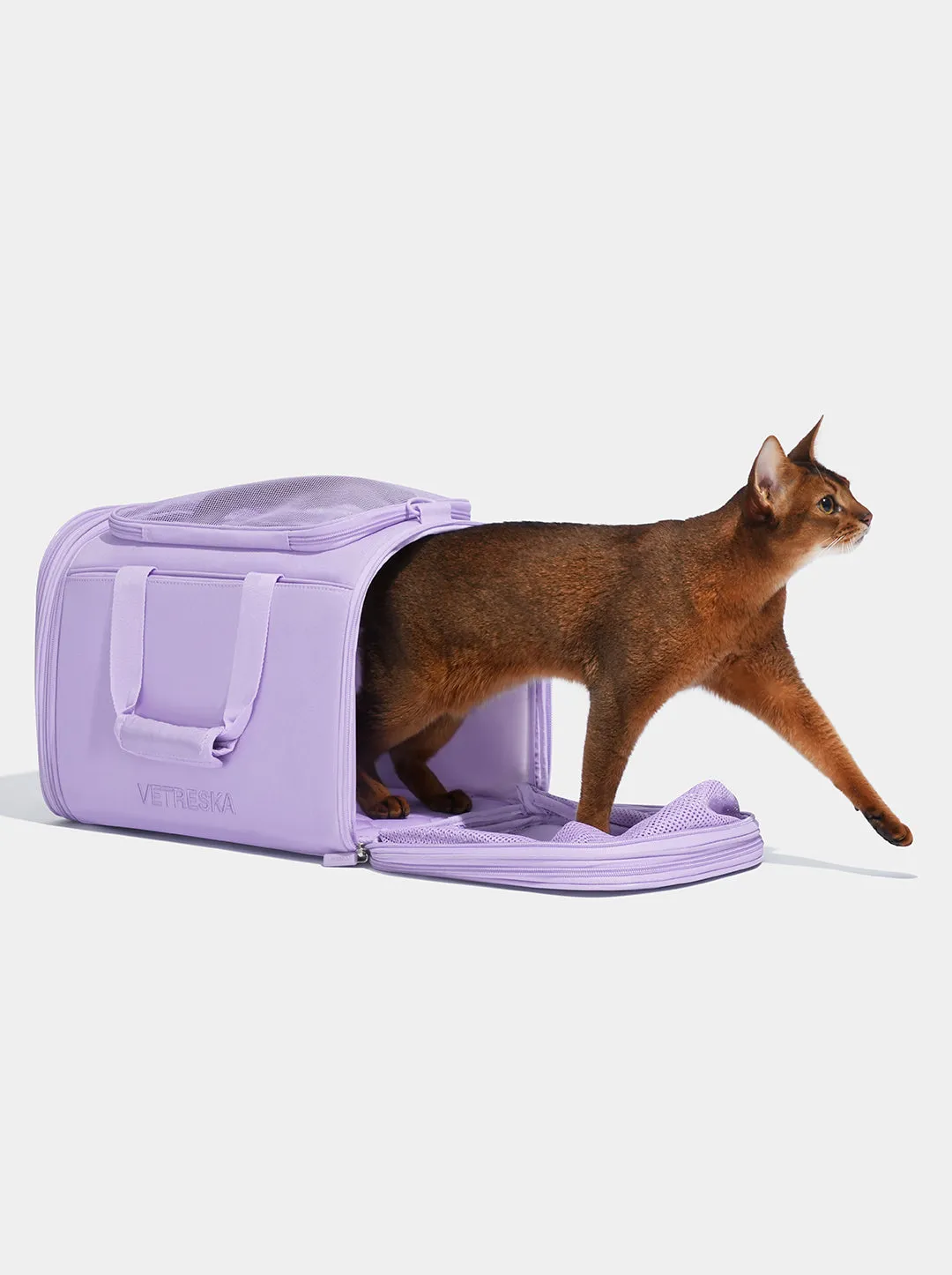 Violet Pet Carrier