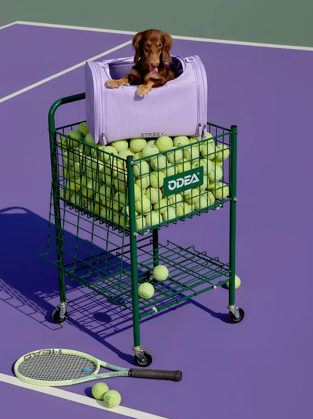 Violet Pet Carrier